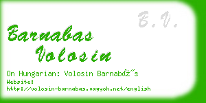 barnabas volosin business card